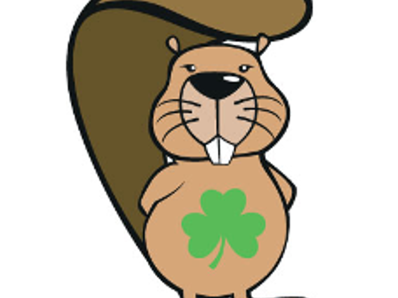 Spark Young Minds with the Bebras Computing Challenge!